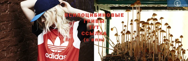 прущий лед Горно-Алтайск